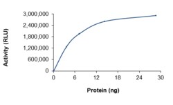 Sino Biological&nbsp;Recombinant Human PI3K (p110 alpha/p85 alpha) Protein (p110 alpha (N345K)/ p85 alpha, His Tag), Active